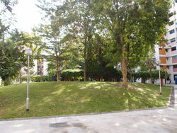 Blk 257 Tampines Street 21 (Tampines), HDB 5 Rooms #159428152